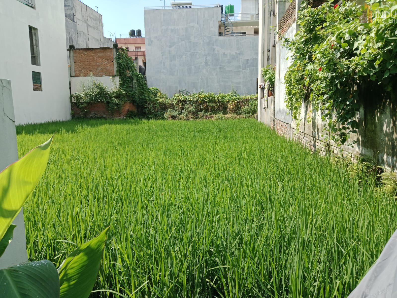 Picture of Mahalaxmi Municipality, Bagmati