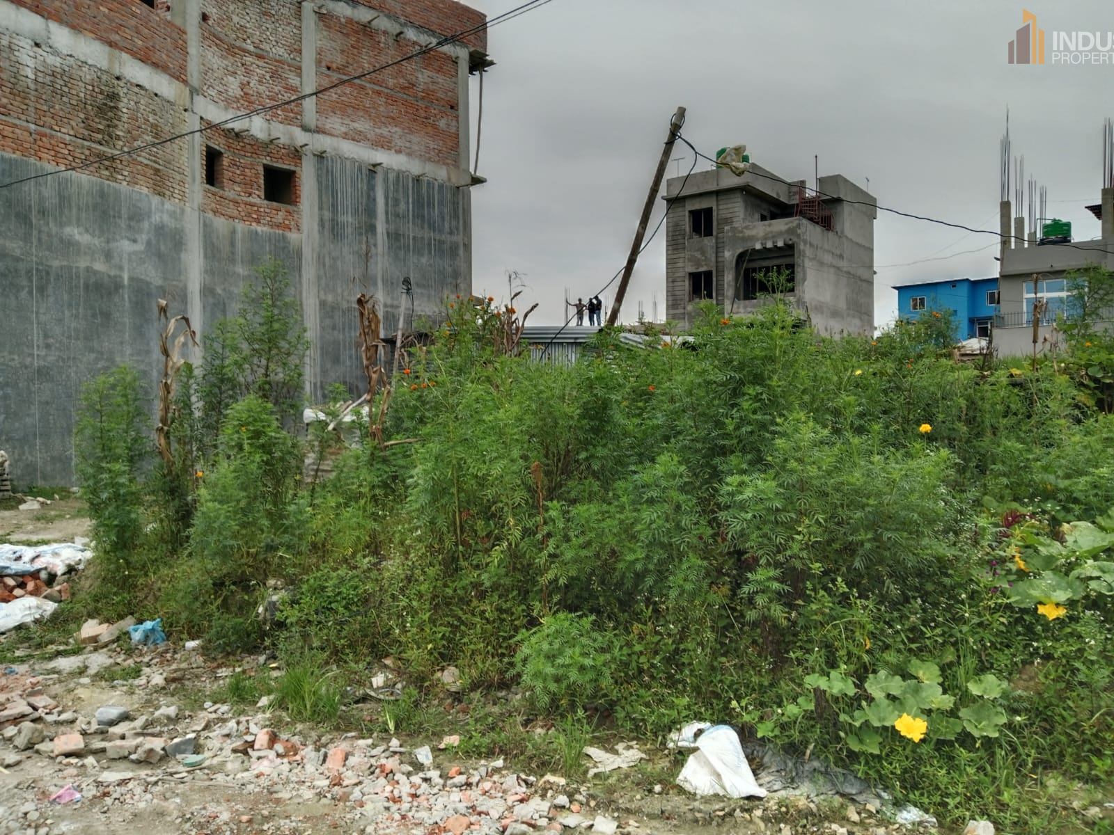 Picture of Mahalaxmi Municipality, Bagmati