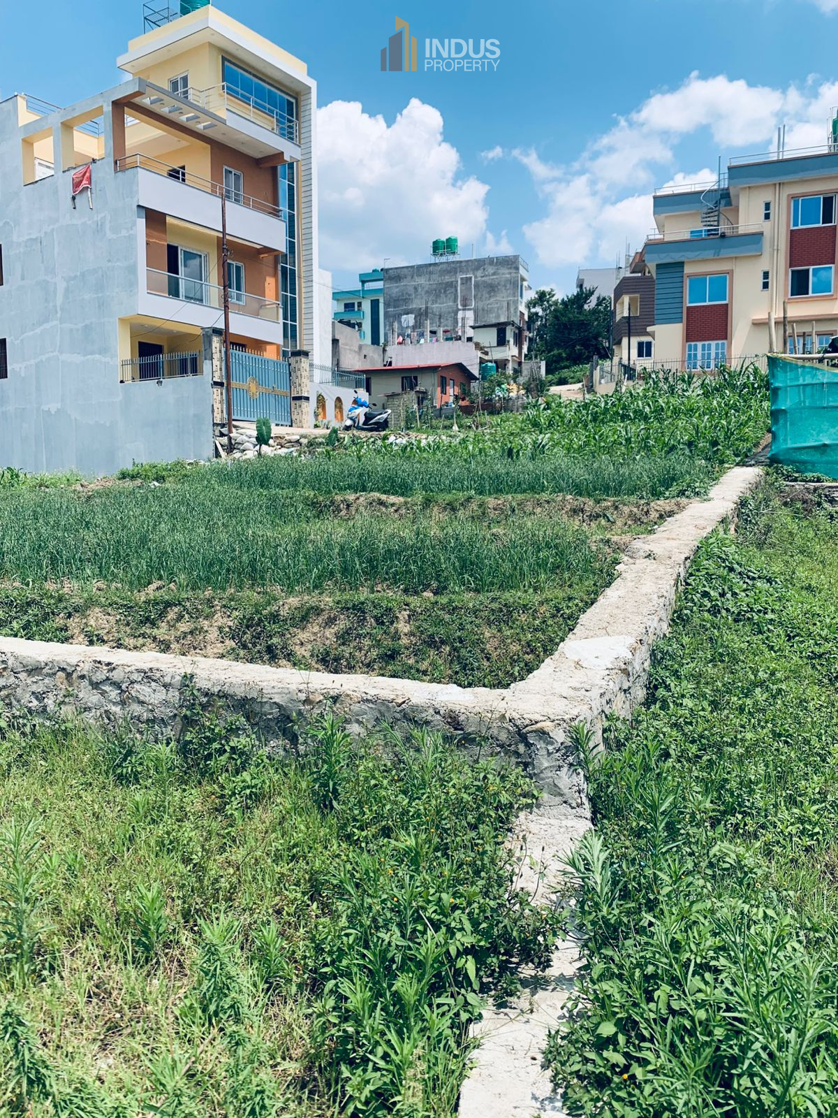 Picture of Mahalaxmi Municipality, Bagmati