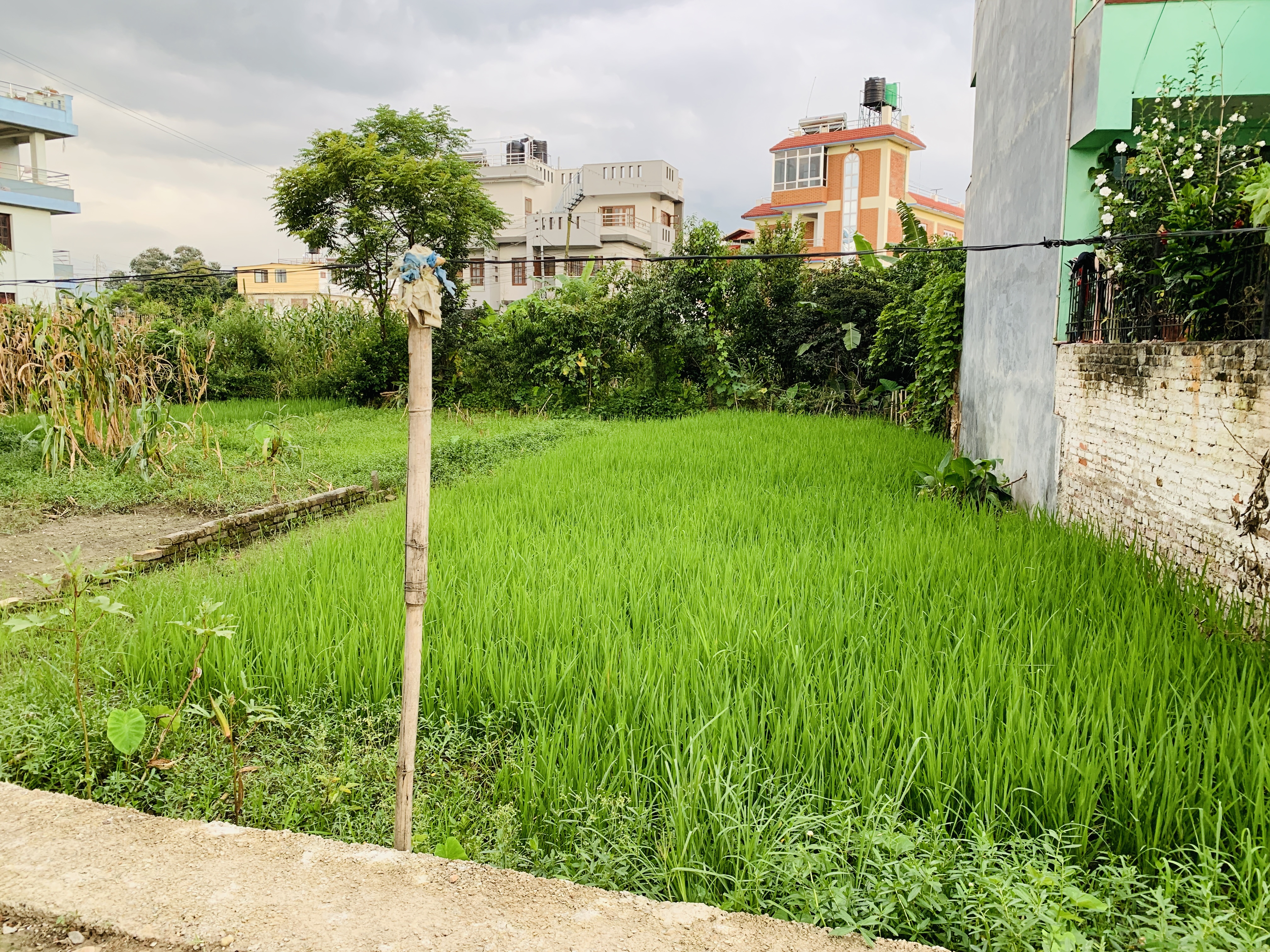 Picture of Lalitpur Metropolitan City, Bagmati