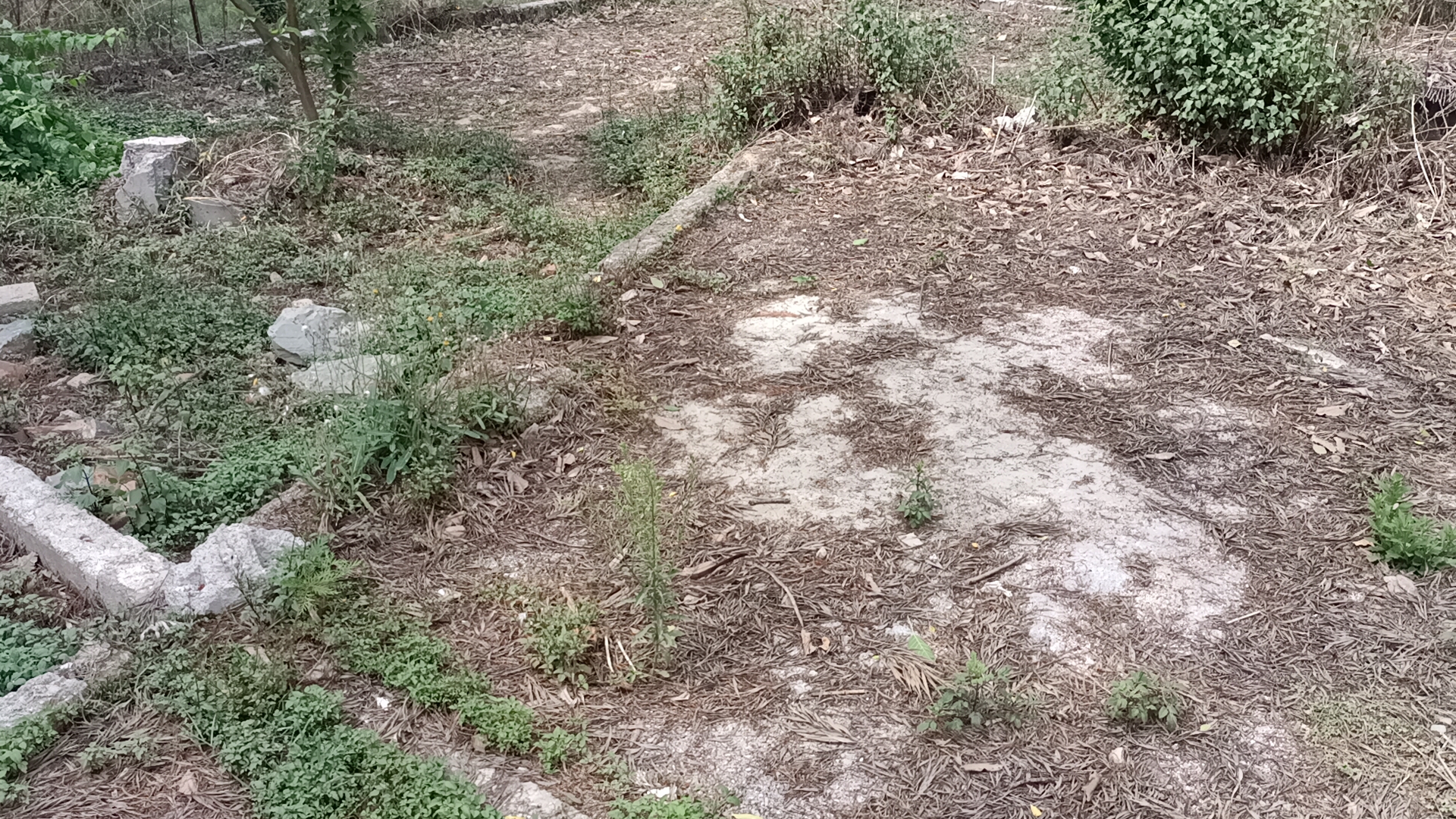 Picture of Suryabinayak Municipality, Bagmati