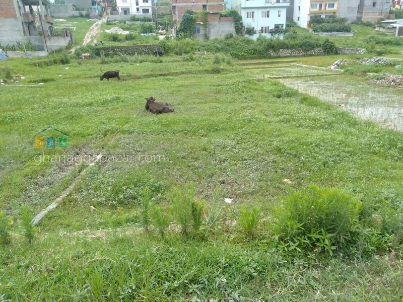 Picture of Lalitpur Metropolitan City, Bagmati Province