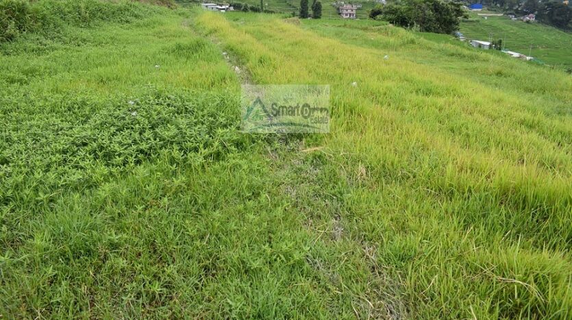 Picture of Lalitpur Metropolitan City, Bagmati Province
