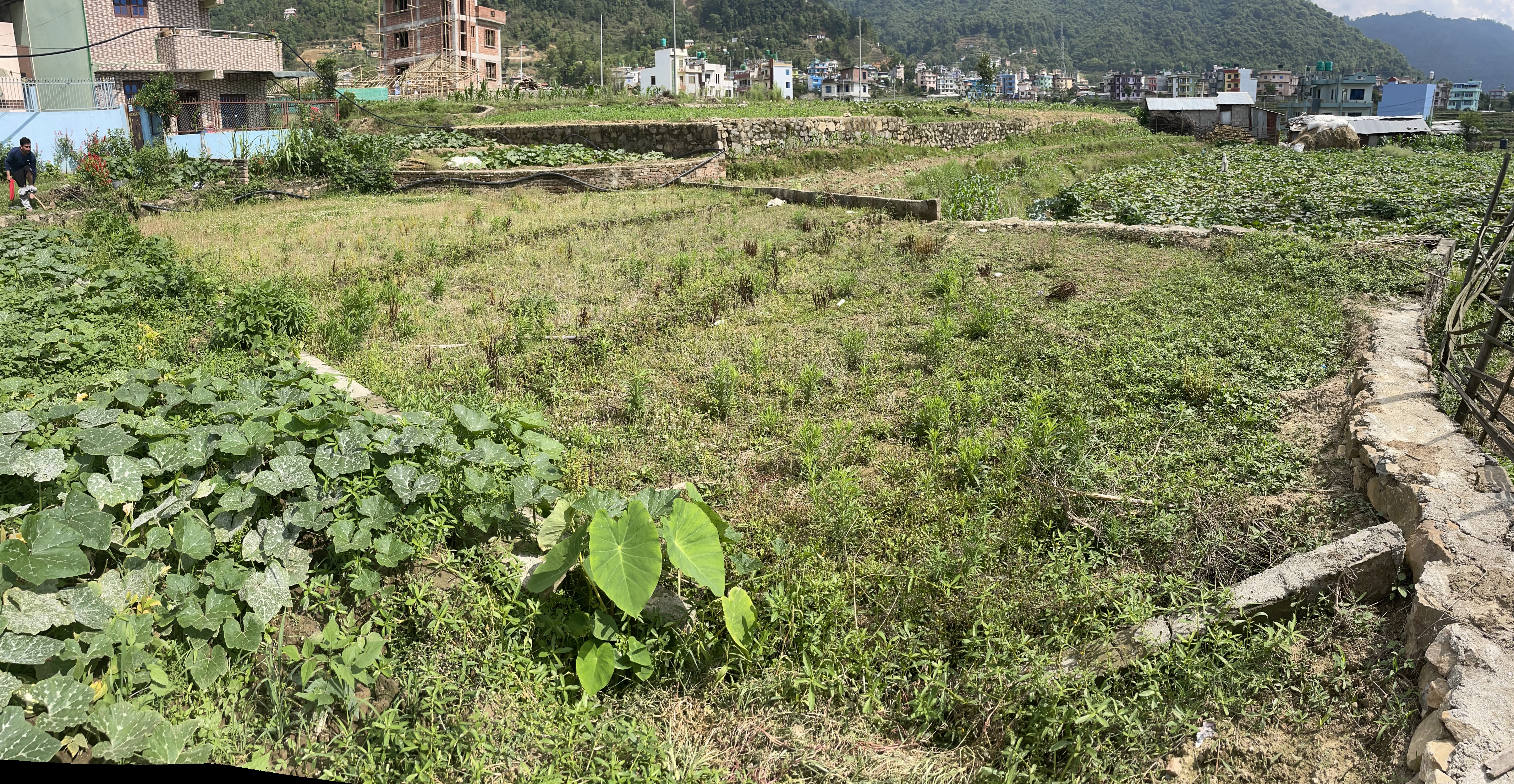 Picture of Suryabinayak Municipality, Bagmati