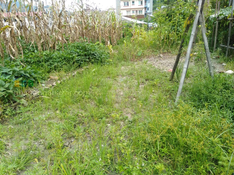 Picture of Budhanilkantha Municipality, Bagmati Province