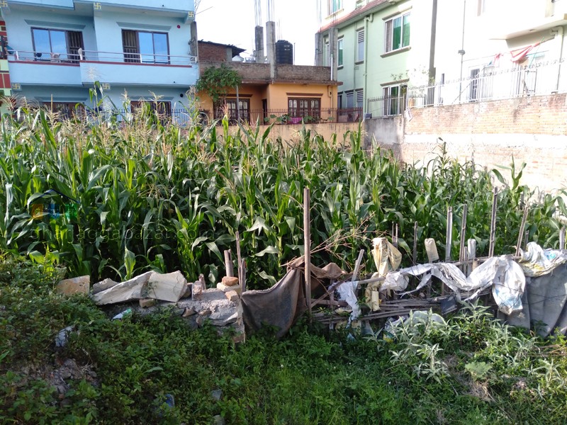 Picture of Budhanilkantha Municipality, Bagmati Province