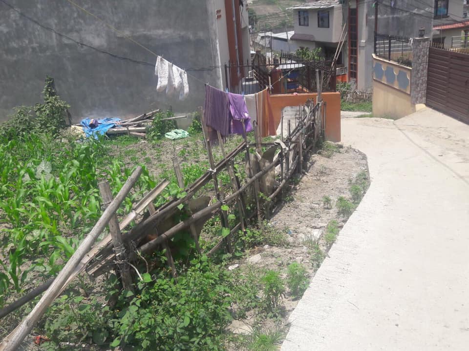 Picture of Tarkeshwor  Municipality, Bagmati Province