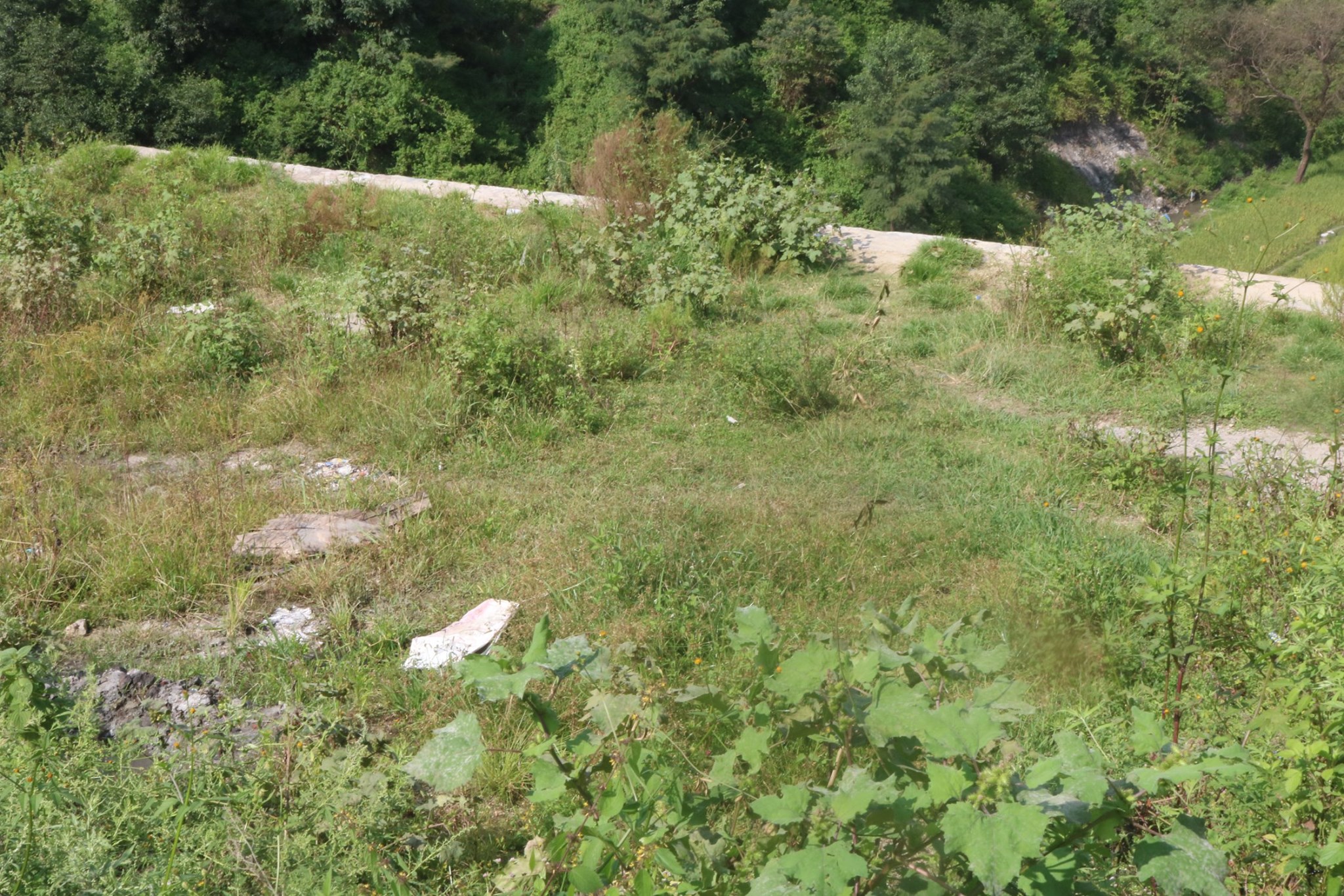 Picture of Budhanilkantha Municipality, Bagmati Province