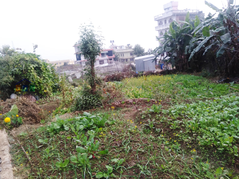 Picture of Chandragiri  Municipality, Bagmati Province