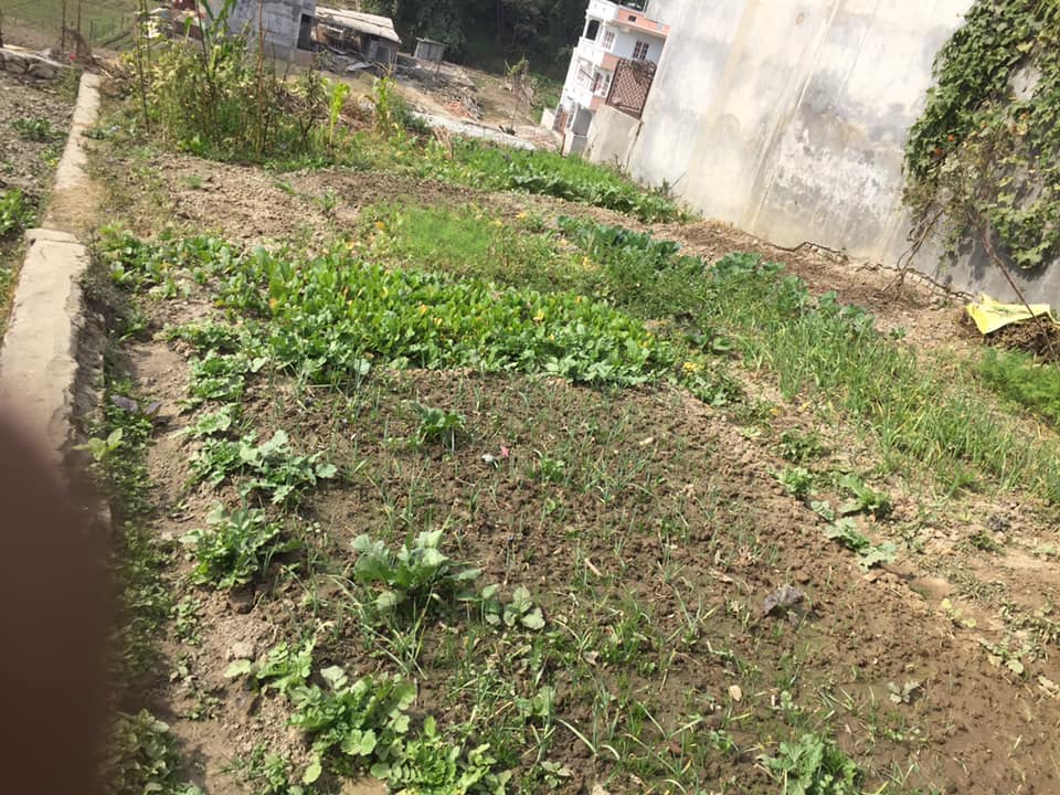 Picture of Tarkeshwor Municipality, Bagmati Province