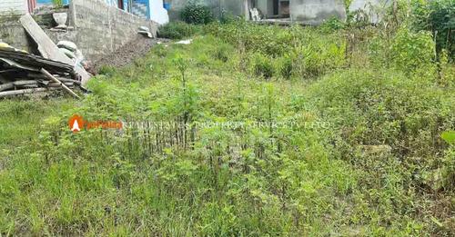 Picture of Tarkeshwor Municipality, Bagmati