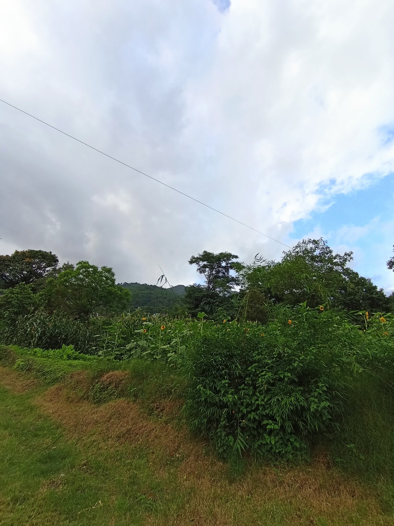 Picture of Budhanilkantha Municipality, Bagmati