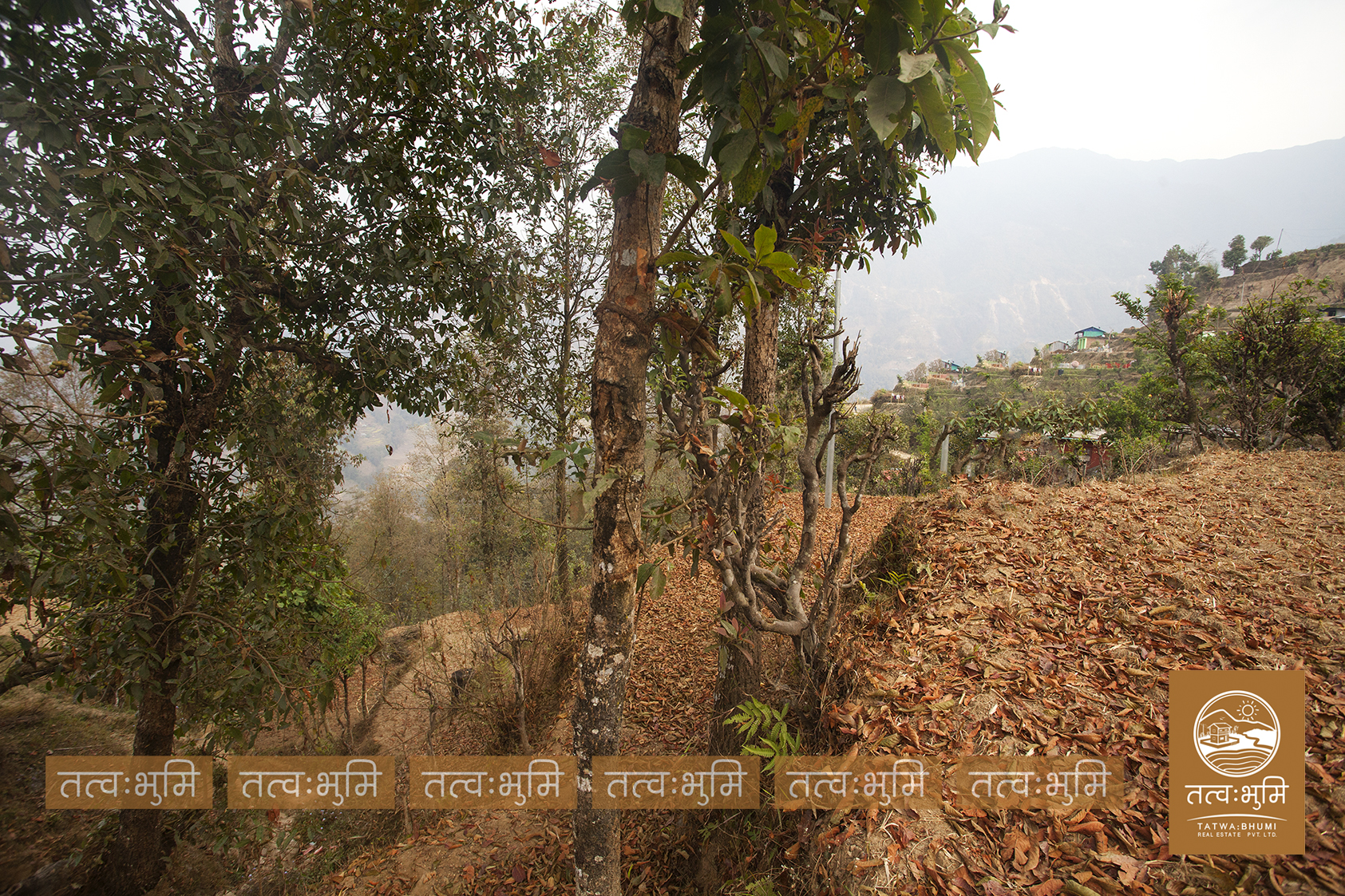 Picture of Shivapuri Rural Municipality, Bagmati