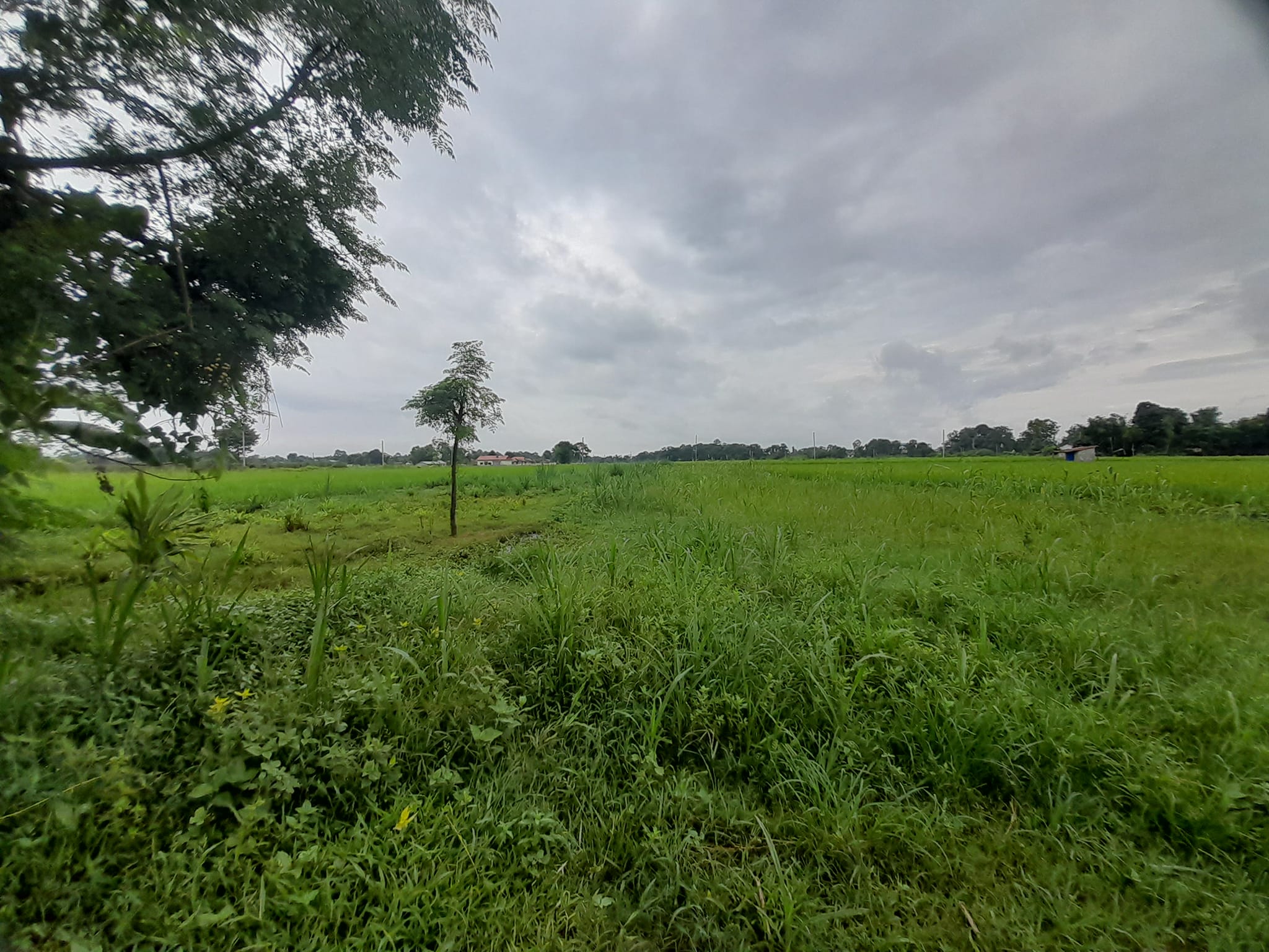Picture of Bharatpur Metropolitan City, Bagmati