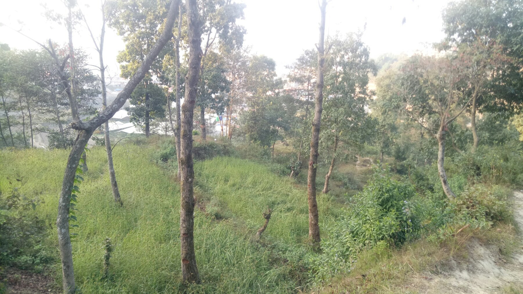 Picture of Budhanilkantha Municipality, Bagmati Province