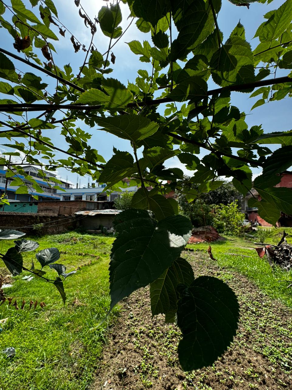 Picture of Kathmandu Metropolitan City, Bagmati
