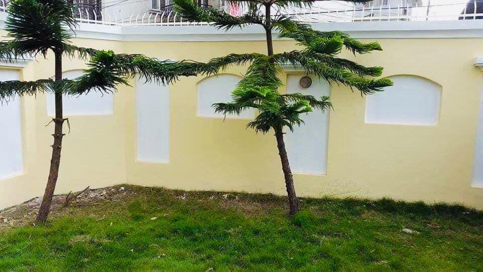Picture of Lalitpur Metropolitan City, Bagmati Province