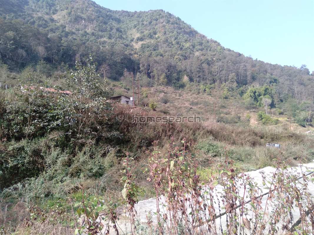 Picture of Kirtipur Municipality, Bagmati Province