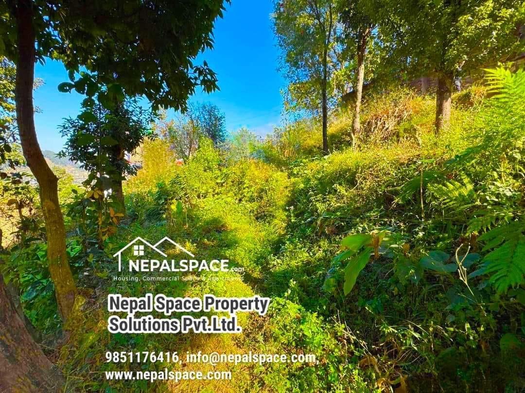 property-image