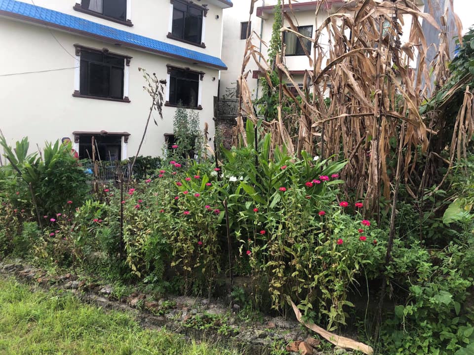 Picture of Tarkeshwor Municipality, Bagmati Province