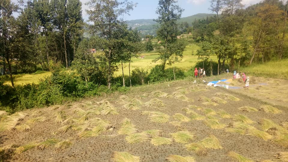 Picture of Suryabinayak Municipality, Bagmati Province
