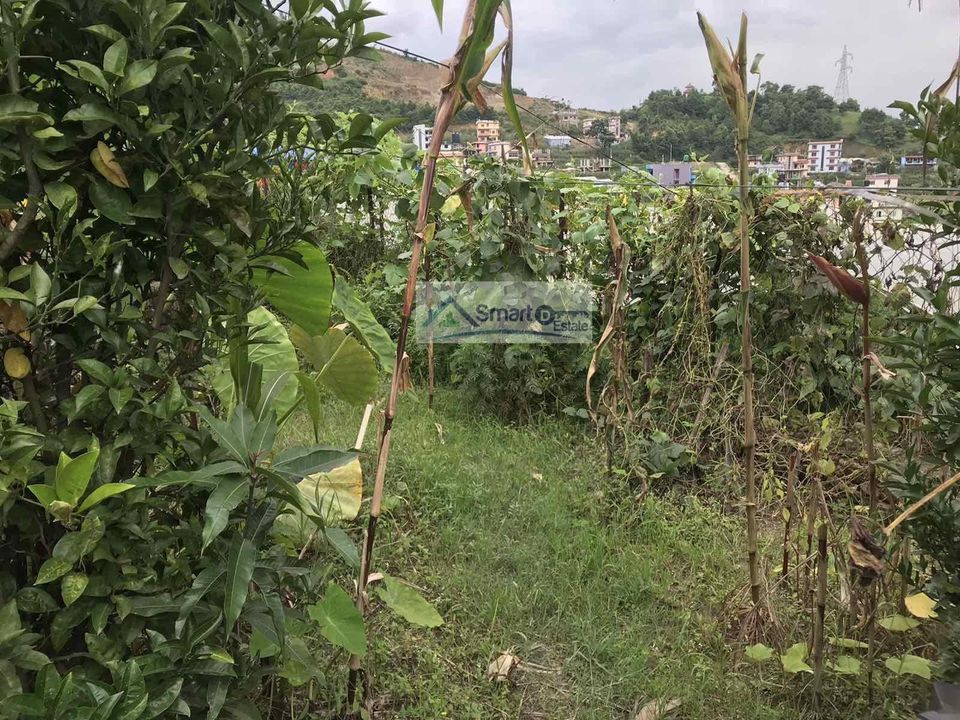 Picture of Chandragiri  Municipality, Bagmati Province