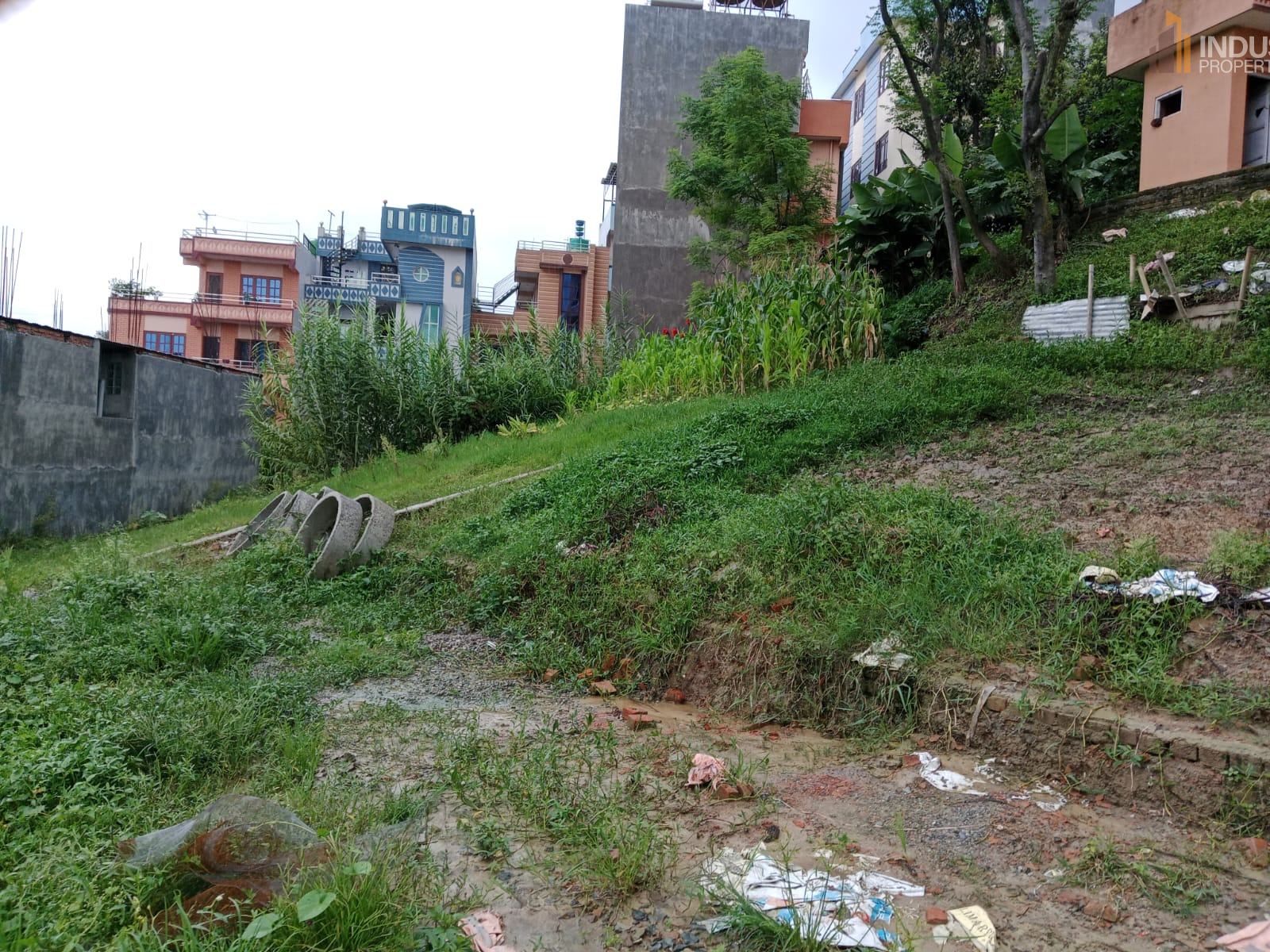 Picture of Mahalaxmi Municipality, Bagmati