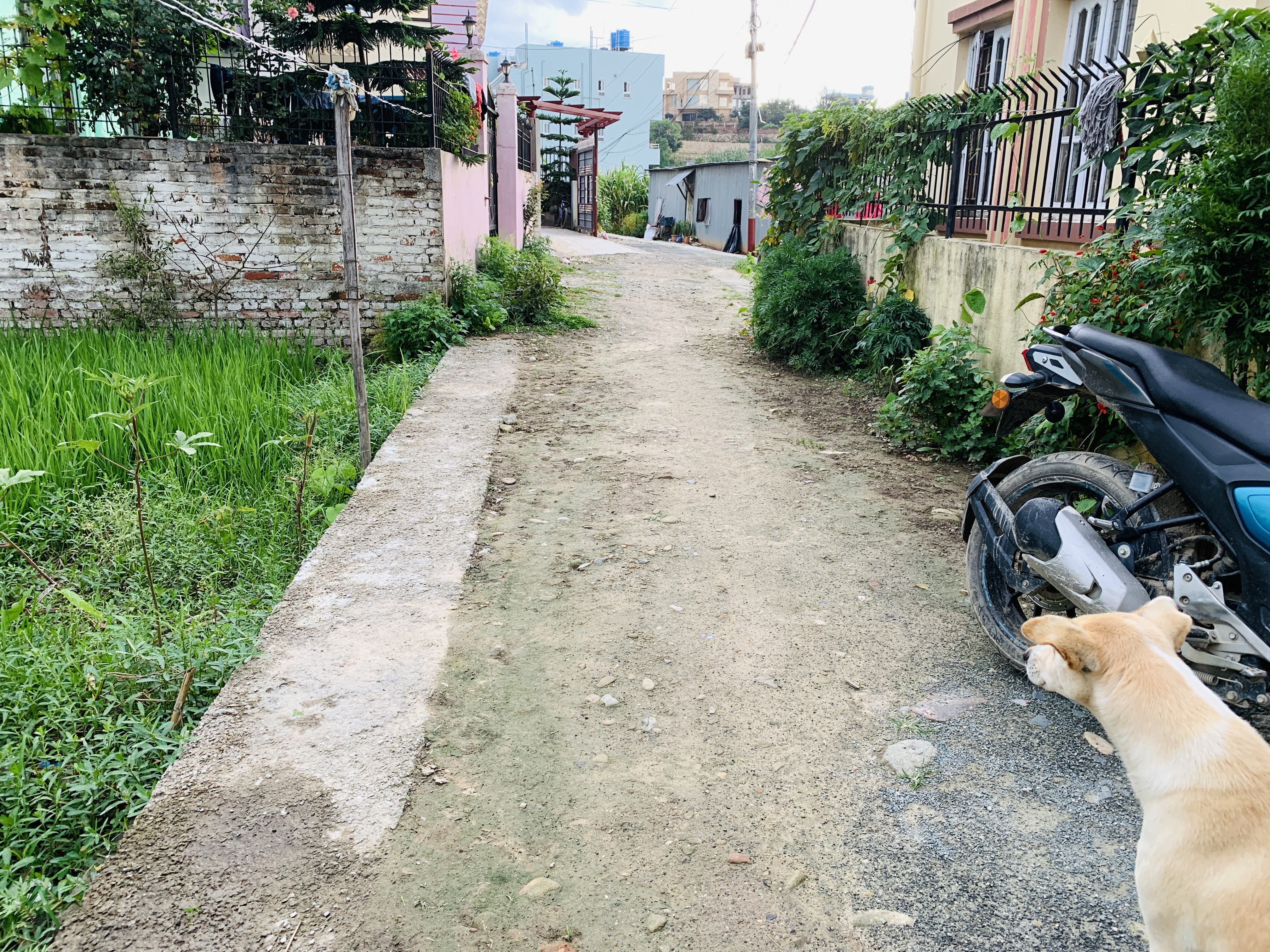 Picture of Lalitpur Metropolitan City, Bagmati