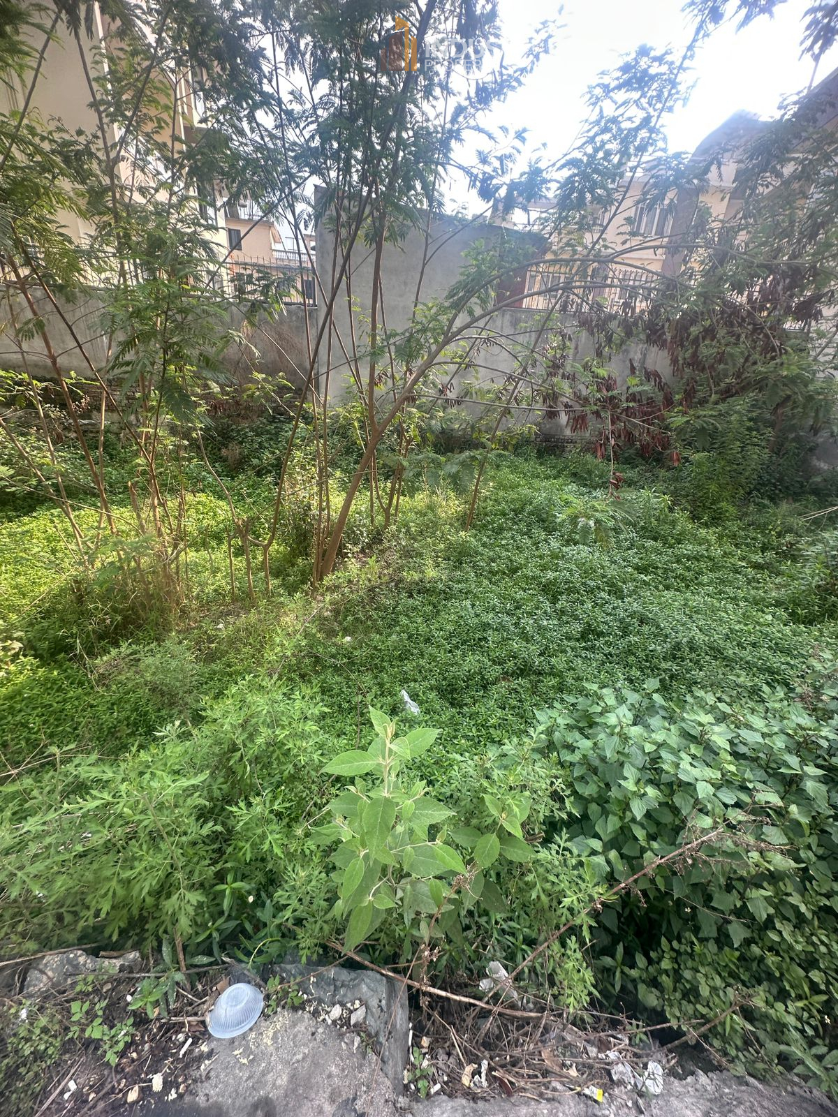 property-image