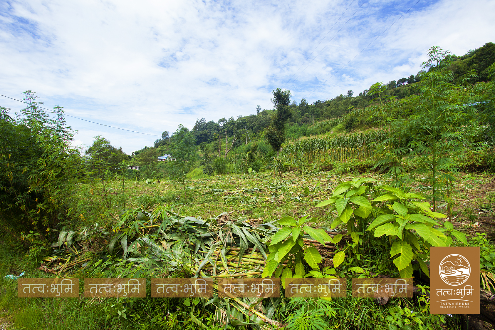 Picture of Kakani Rural Municipality, Bagmati