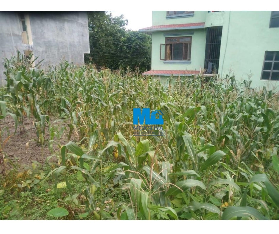 Picture of Kageshwari Manohara Municipality, Bagmati Province