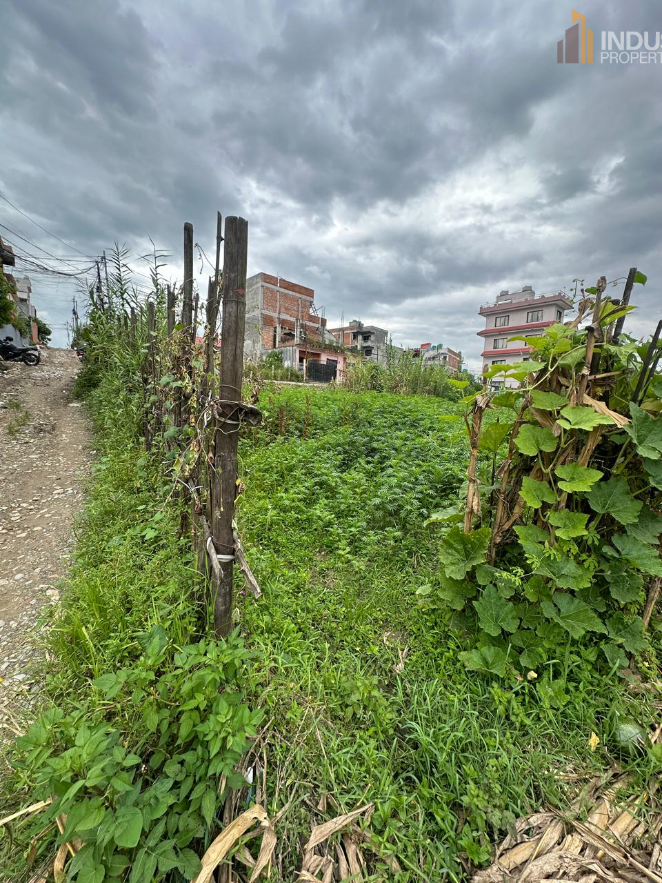 Picture of Mahalaxmi Municipality, Bagmati