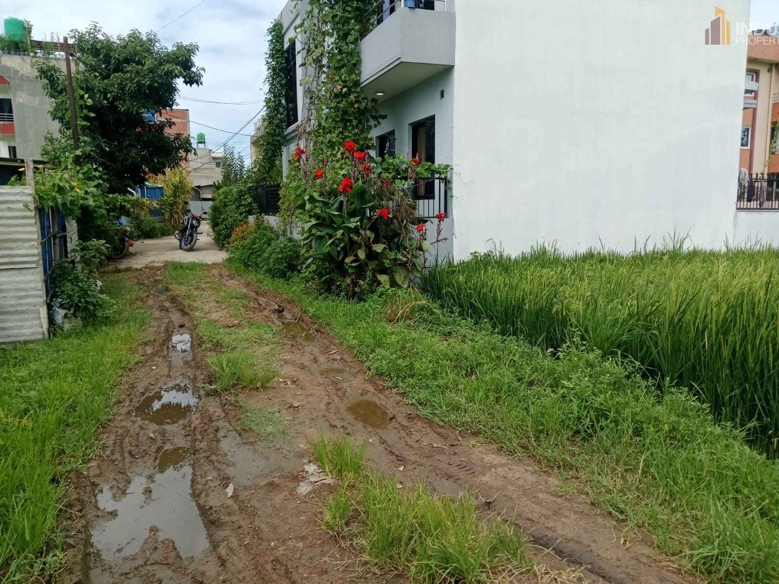 Picture of Mahalaxmi Municipality, Bagmati