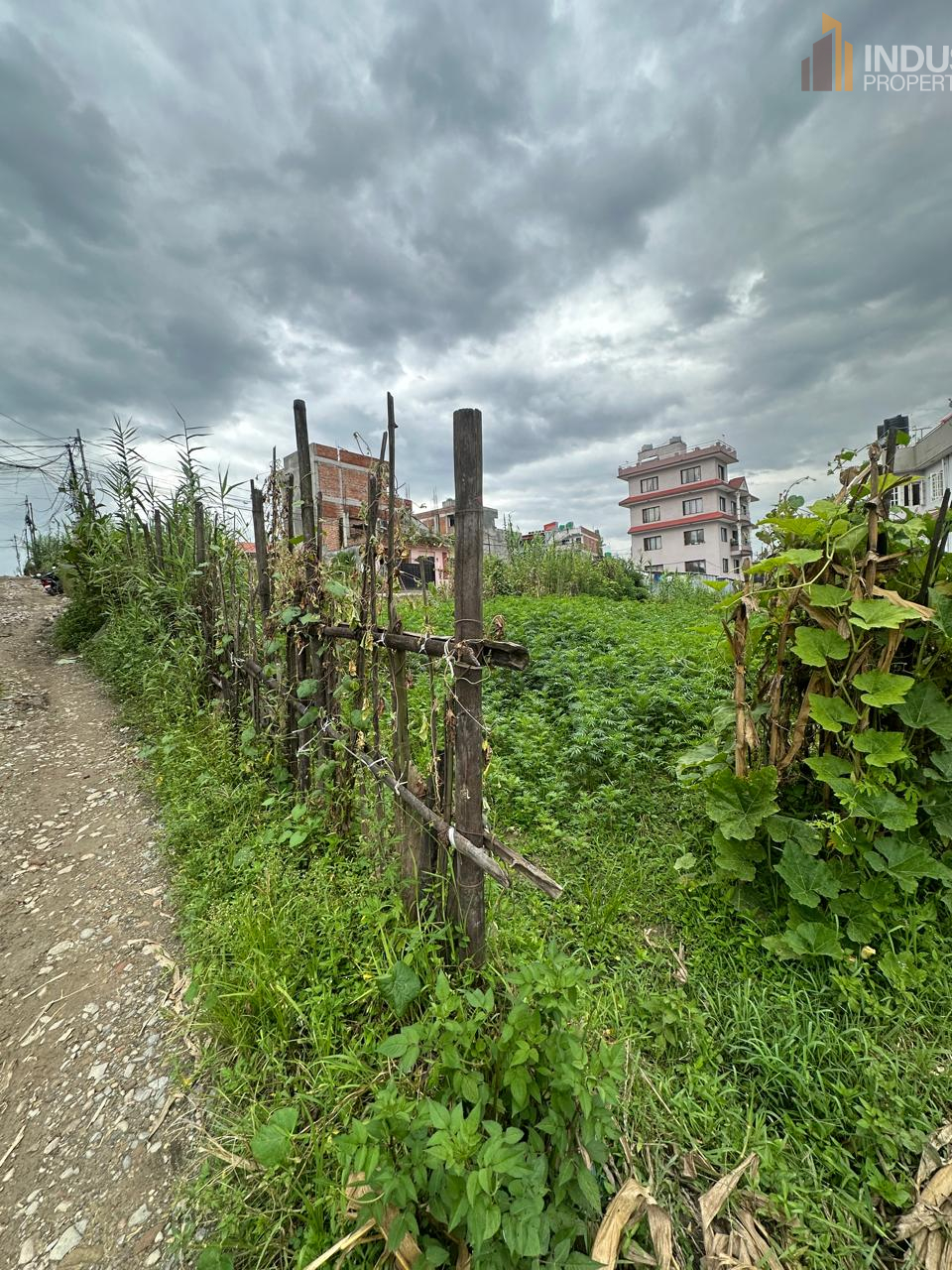 Picture of Mahalaxmi Municipality, Bagmati