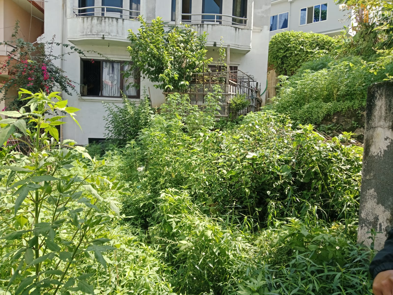 Picture of Mahalaxmi Municipality, Bagmati