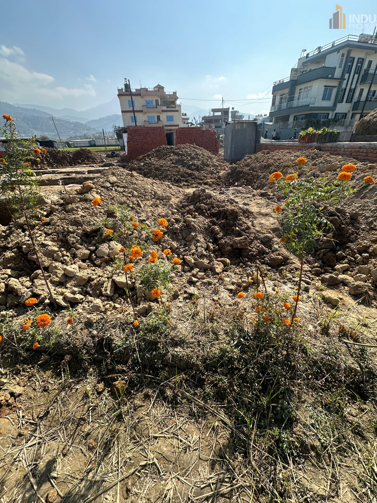 Picture of Mahalaxmi Municipality, Bagmati