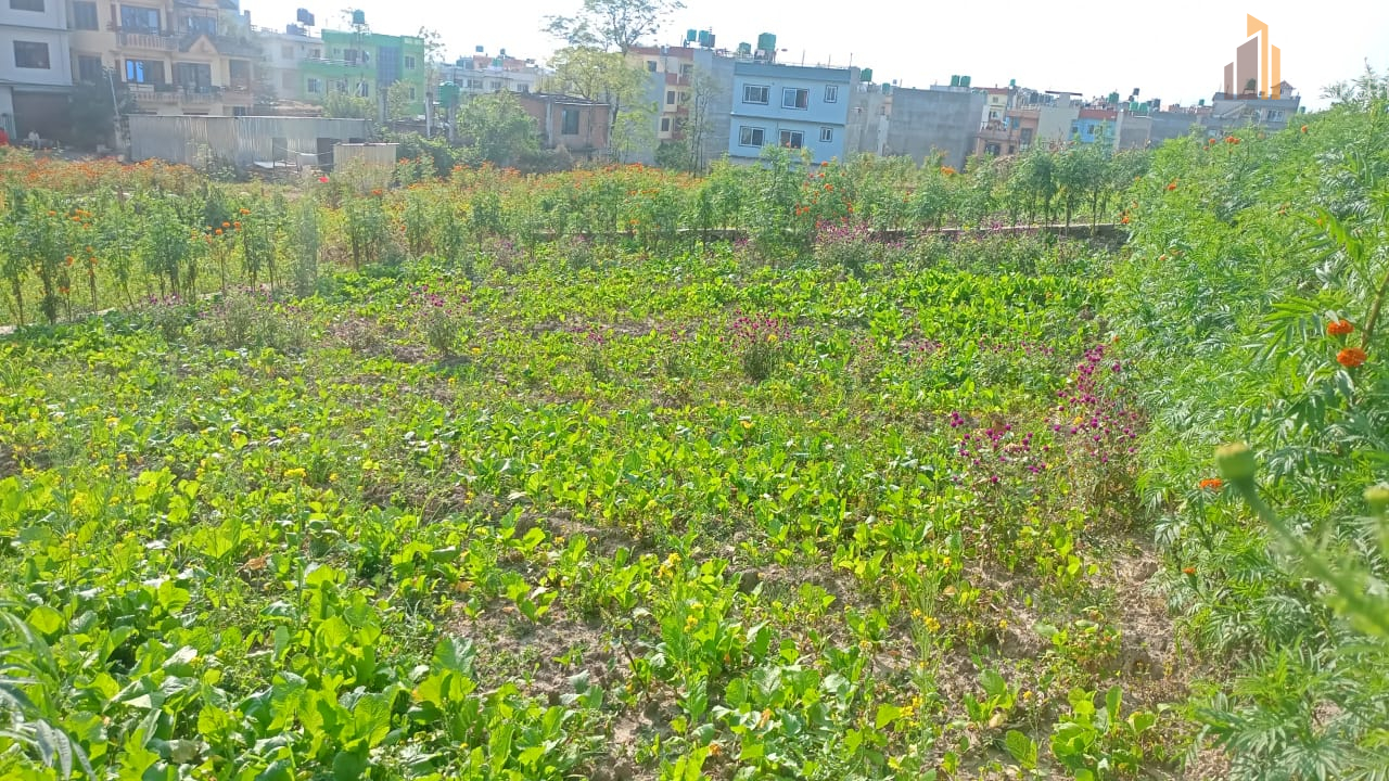 Picture of Suryabinayak Municipality, Bagmati