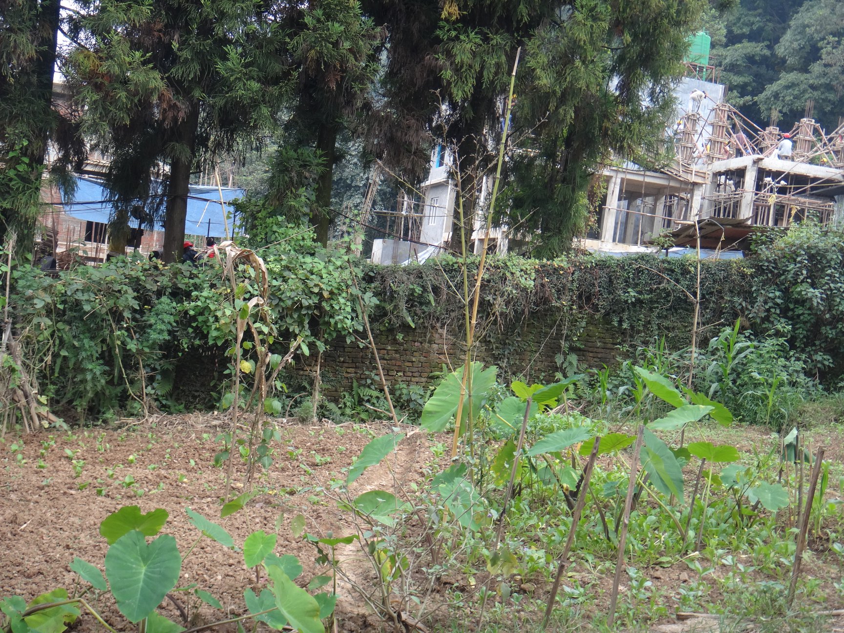 Picture of Tarkeshwor  Municipality, Bagmati Province