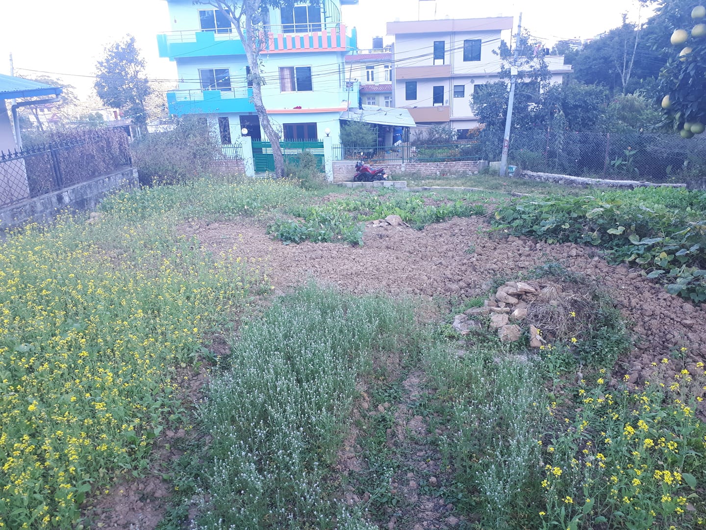 Picture of Chandragiri Municipality, Bagmati Province