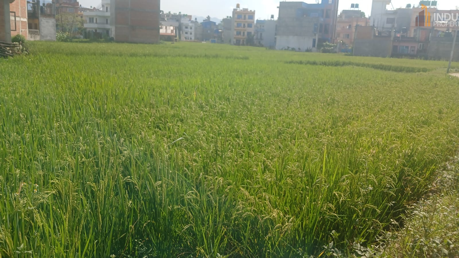 Picture of Mahalaxmi Municipality, Bagmati