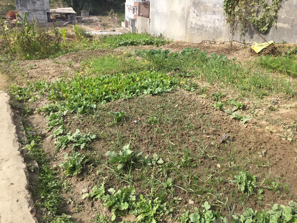 Picture of Tarkeshwor Municipality, Bagmati Province