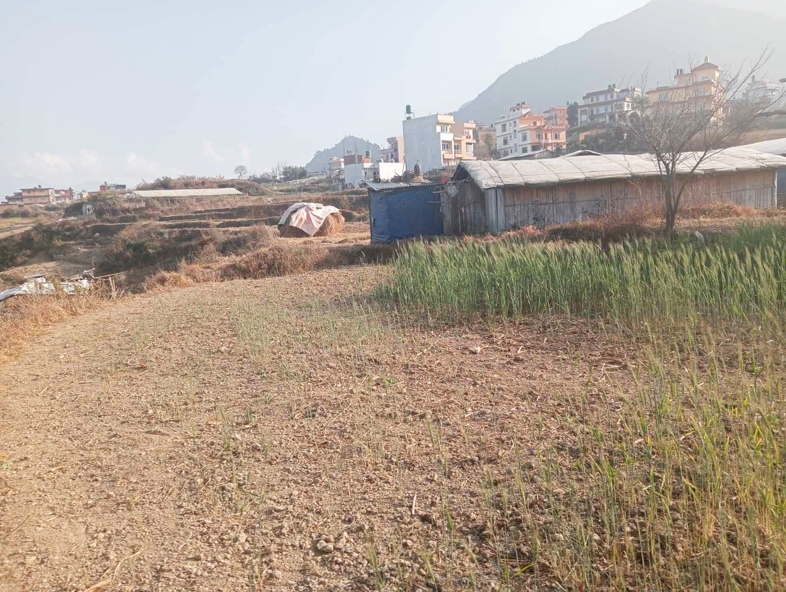 Picture of Kirtipur Municipality, Bagmati