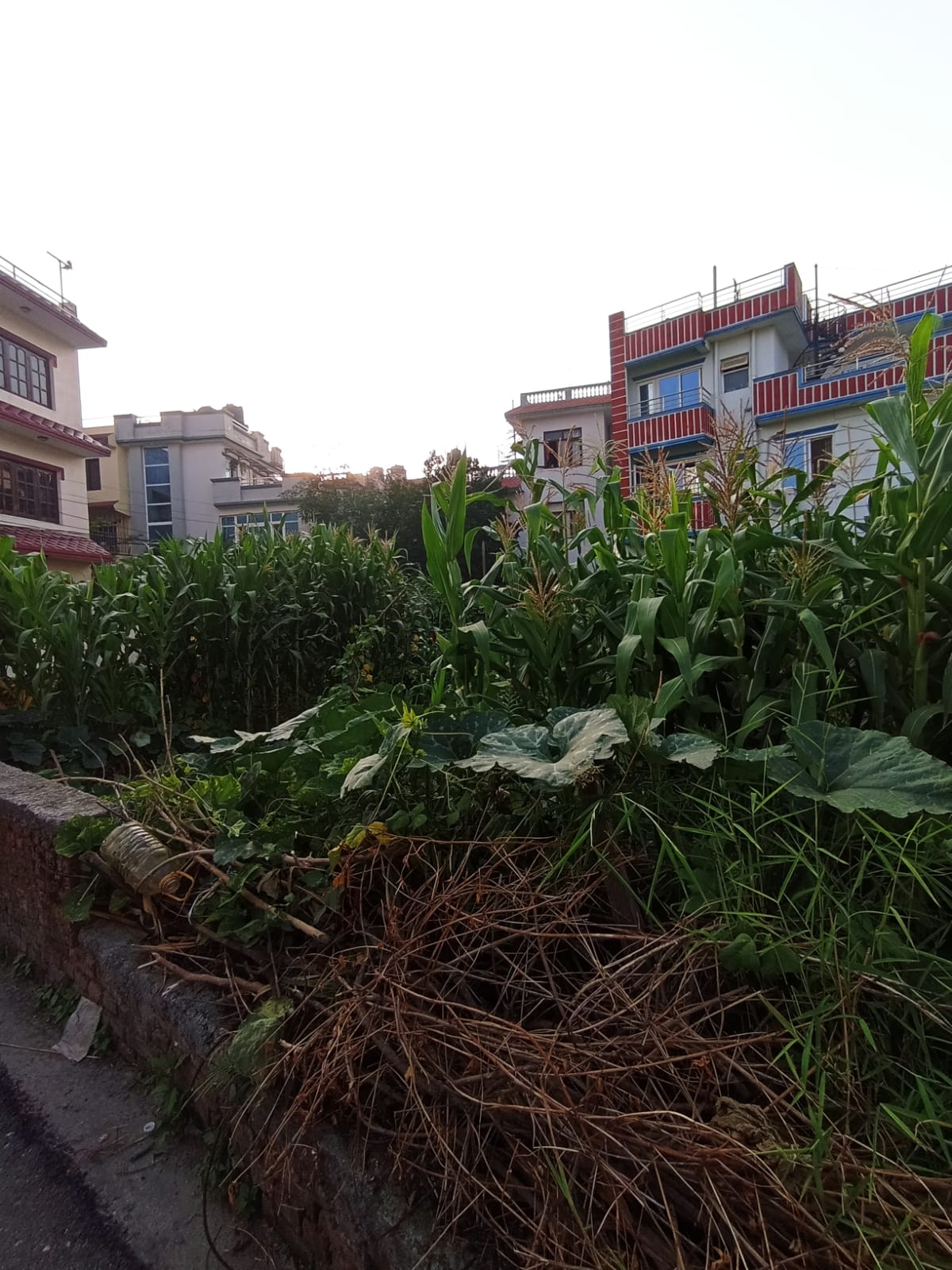 Picture of Budhanilkantha Municipality, Bagmati