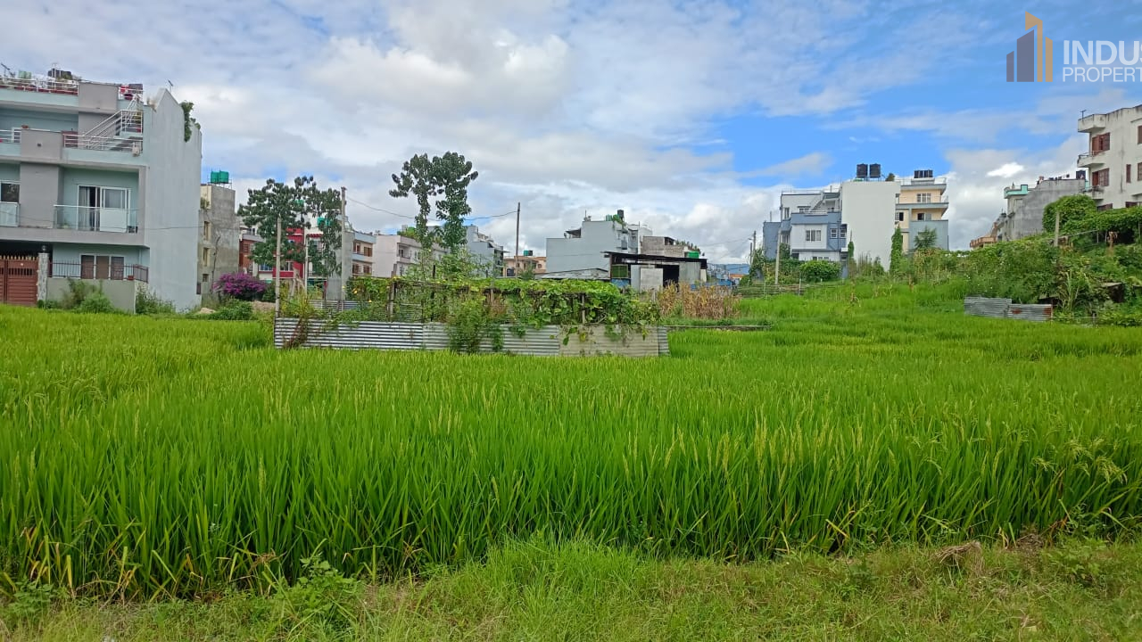 Picture of Madhyapur Thimi Municipality, Bagmati