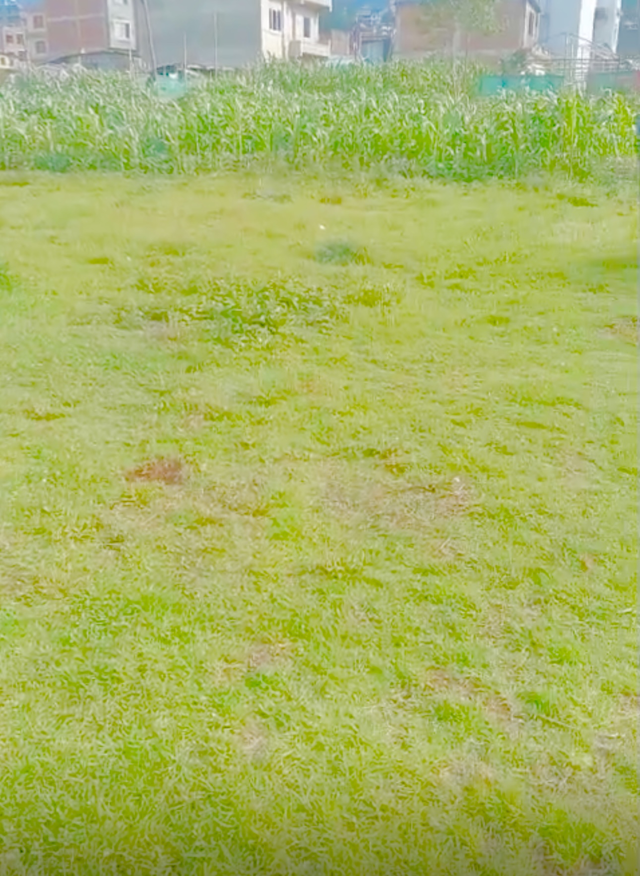 Picture of Chandragiri Municipality, Bagmati