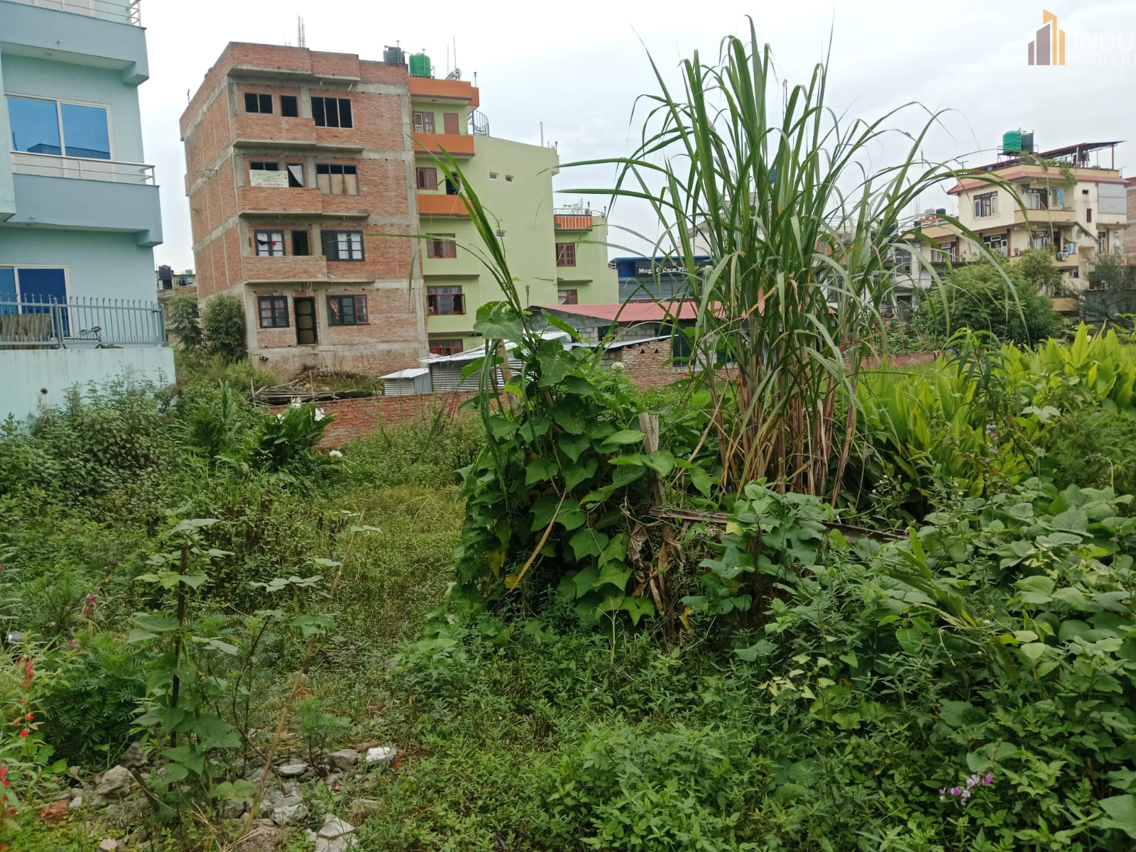 Picture of Mahalaxmi Municipality, Bagmati
