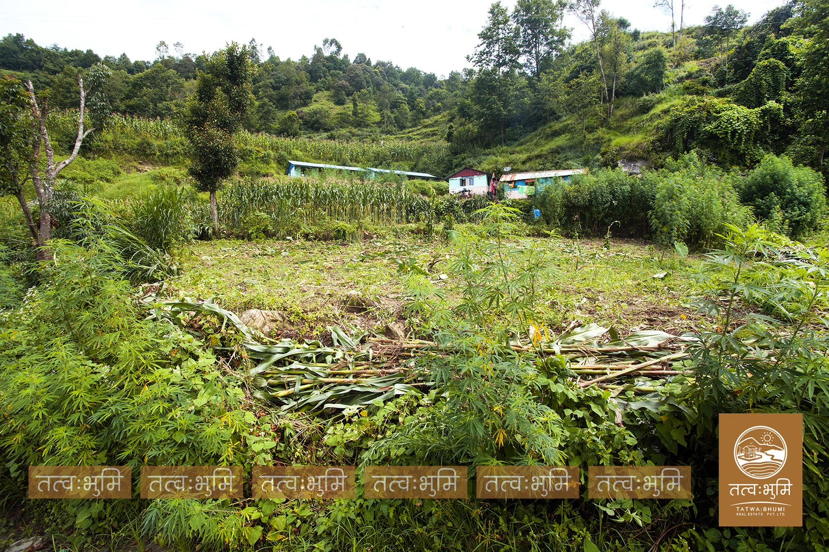 Picture of Kakani Rural Municipality, Bagmati