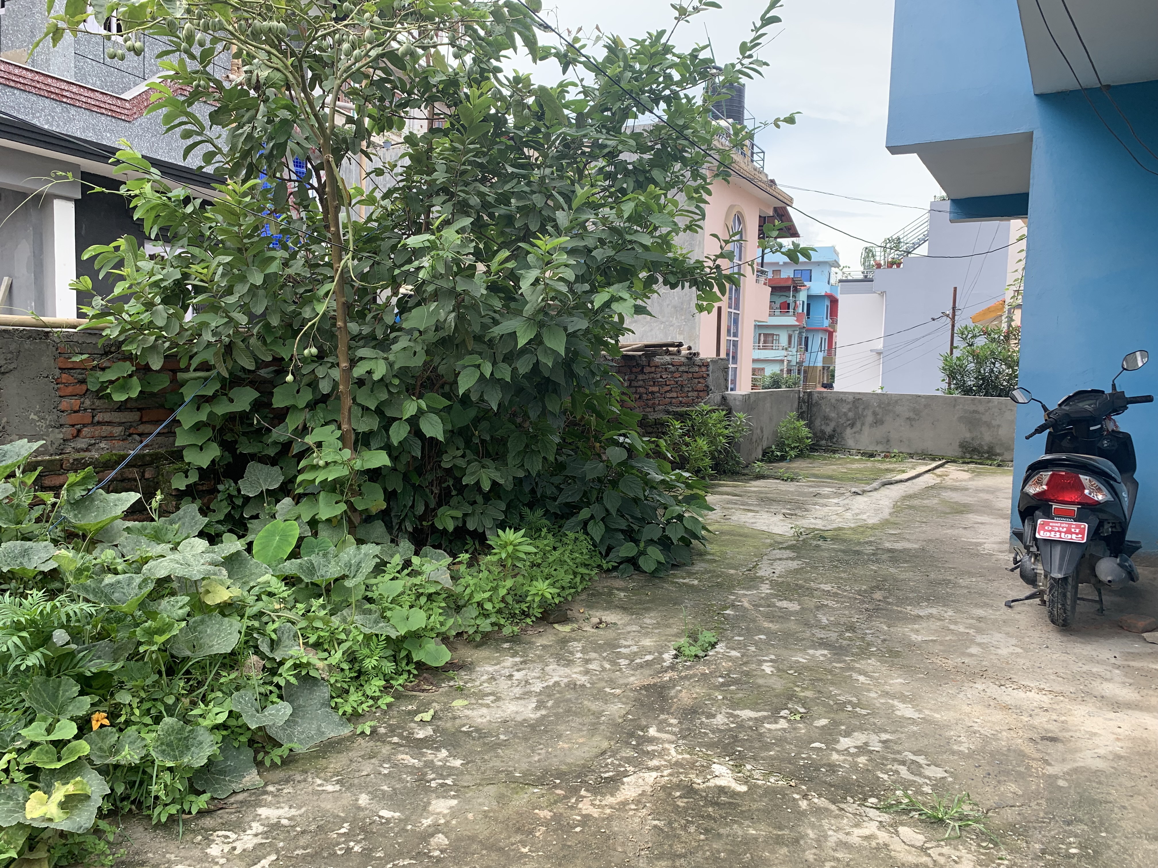 Picture of Madhyapur Thimi Municipality, Bagmati