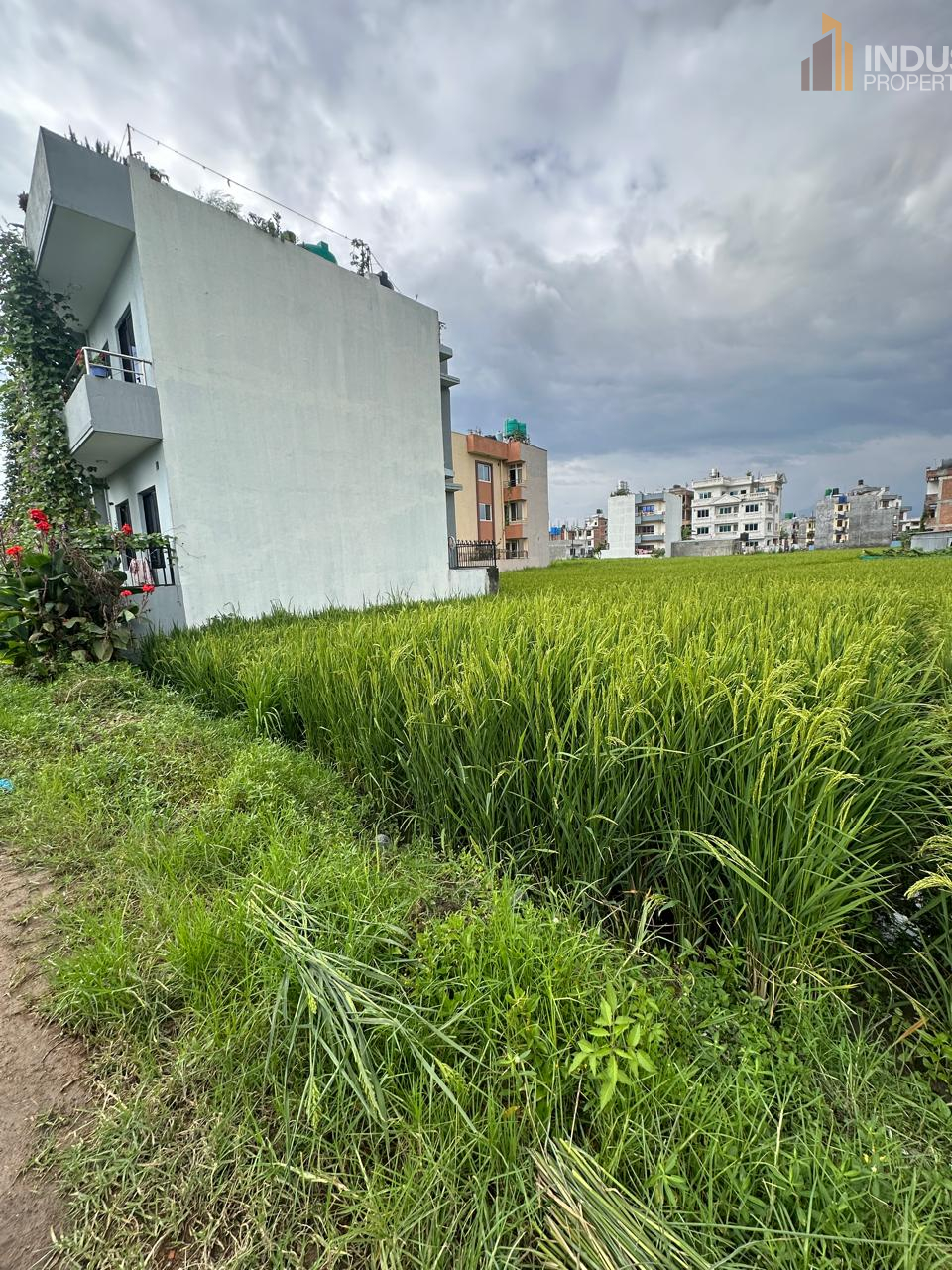 Picture of Mahalaxmi Municipality, Bagmati