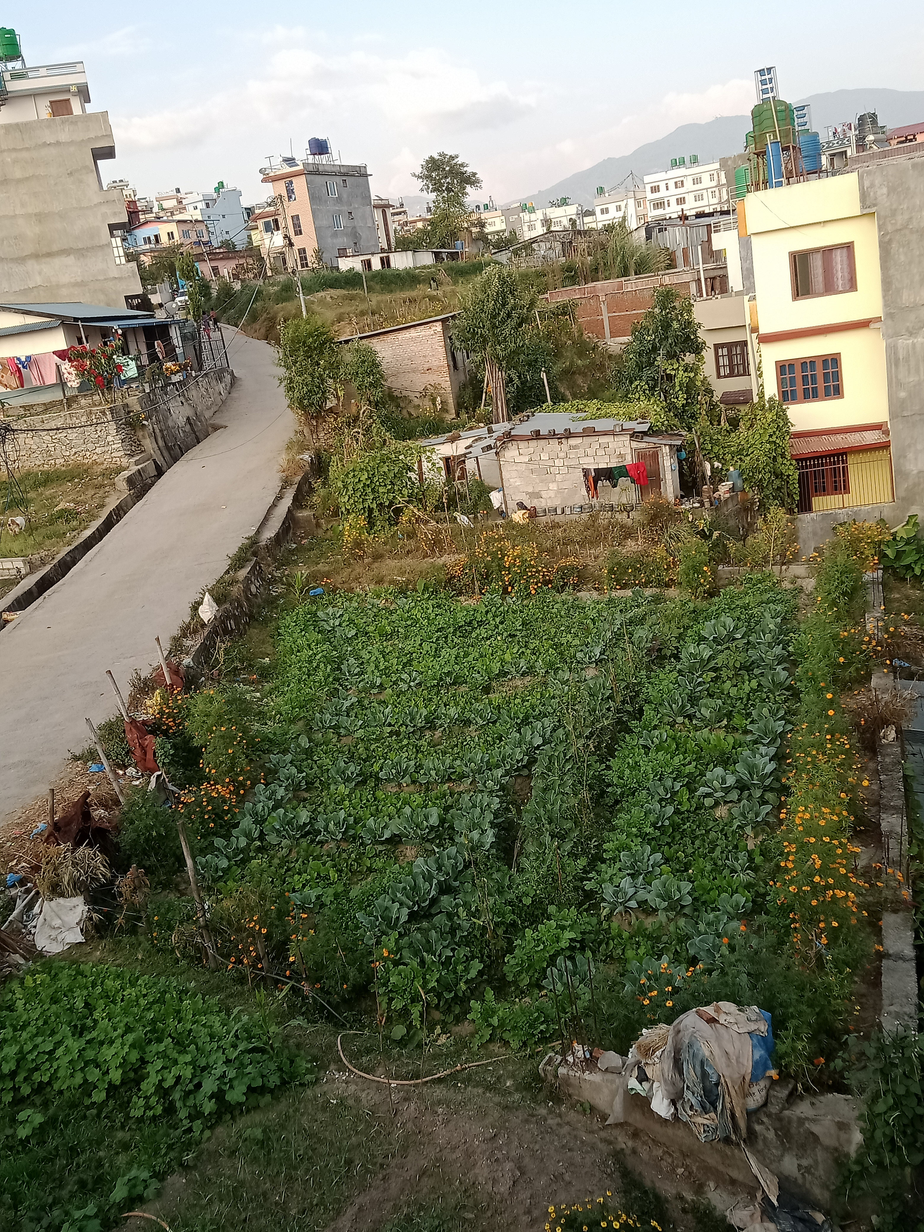 Picture of Kageshwari Manohara Municipality, Bagmati